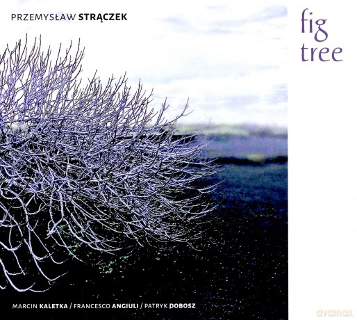 Przemysław Strączek Quartet: Fig Tree [CD]