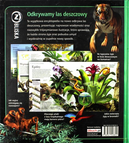 Las deszczowy Z bliska [KSIĄŻKA]