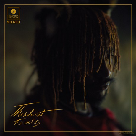 Thundercat: It Is What It Is [CD]