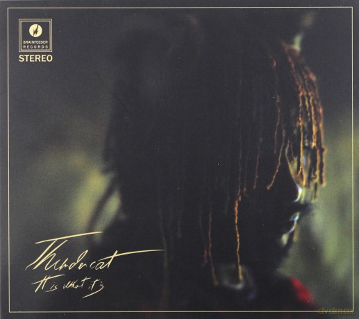 Thundercat: It Is What It Is [CD]