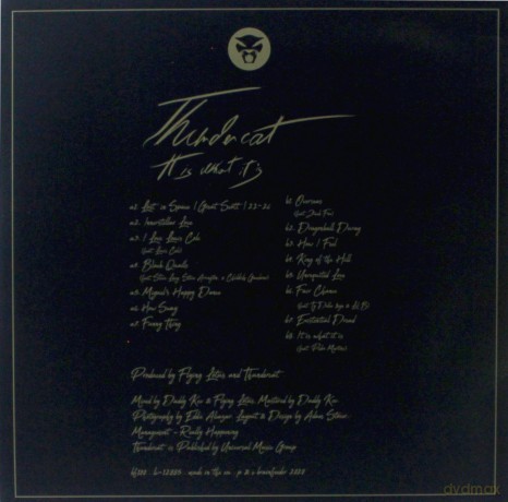 Thundercat: It Is What It Is [Winyl]