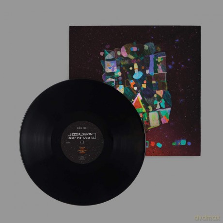Little Dragon: New Me Same Us [Winyl]