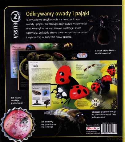Owady i pająki Z bliska [KSIĄŻKA]