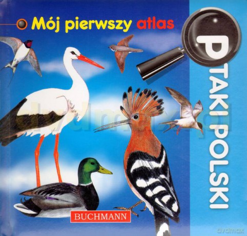 Ptaki Polski Mój pierwszy atlas [KSIĄŻKA]