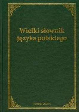 Wielki słownik języka polskiego złoty [KSIĄŻKA]