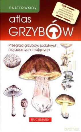Ilustrowany atlas grzybów - Emilia Grzędzicka [KSIĄŻKA]