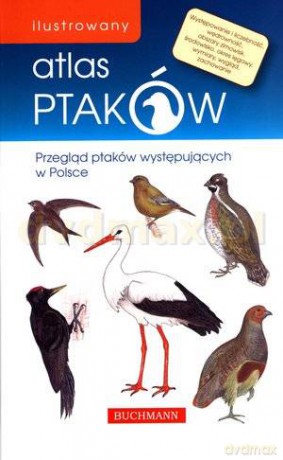 Ilustrowany atlas ptaków - Emilia Grzędzicka [KSIĄŻKA]