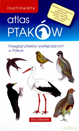 Ilustrowany atlas ptaków - Emilia Grzędzicka [KSIĄŻKA]