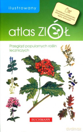 Ilustrowany Atlas Ziół - Emilia Grzędzicka [KSIĄŻKA]