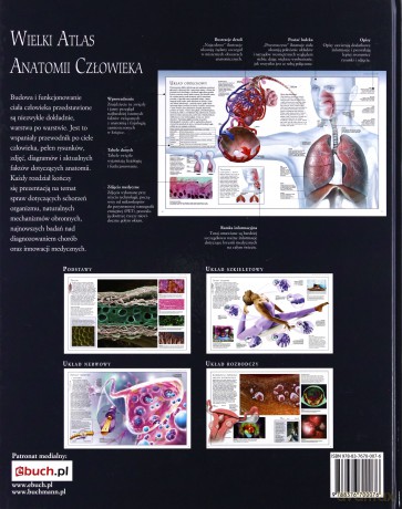 Wielki atlas anatomii człowieka - Beverly McMillan [KSIĄŻKA]
