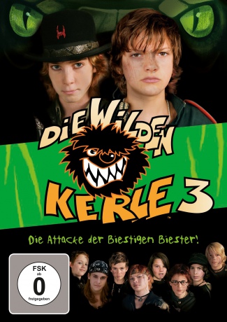 Die wilden Kerle 3 [DVD]