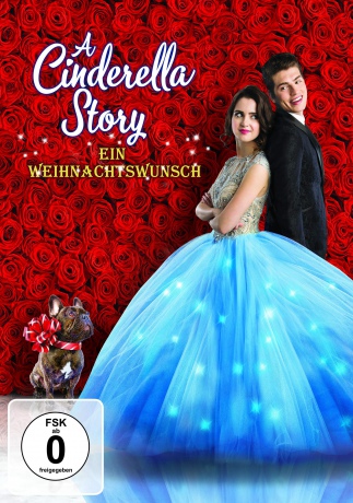 A Cinderella Story: Christmas Wish [DVD]