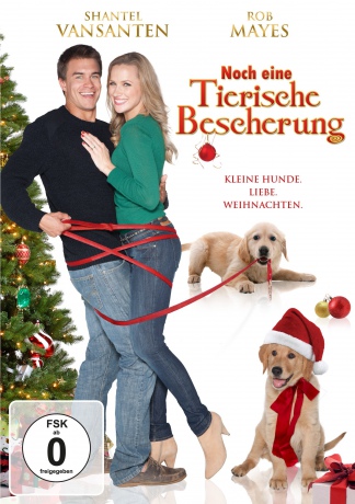 A Golden Christmas 3 (Złote święta 3) [DVD]