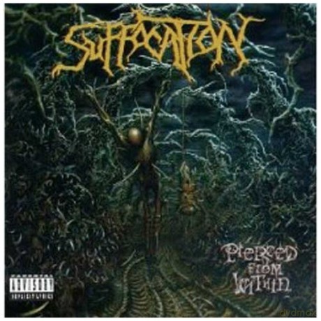 Suffocation: Pierced From Within [CD]