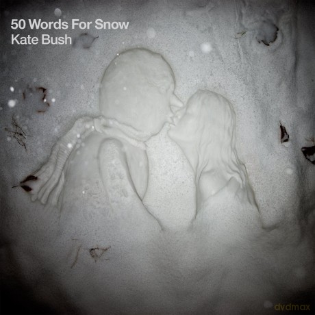 Kate Bush: 50 Words For Snow [2xWinyl]