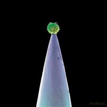 Peter Gabriel: New Blood [3xWinyl]