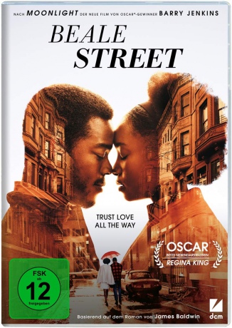 If Beale Street Could Talk (Gdyby ulica Beale umiała mówić) [DVD]