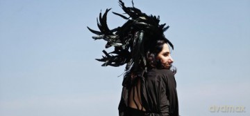 Pj Harvey: Let England Shake: 12 Short Films By Seamus Murphy (Pl) [DVD]