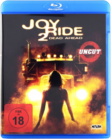 Joy Ride 2: Dead Ahead (Prześladowca 2) [Blu-Ray]