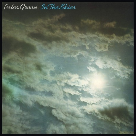 Peter Green: In The Skies [Winyl]