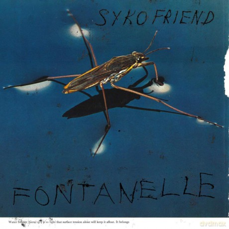 Syko Friend: Fontanelle [Winyl]
