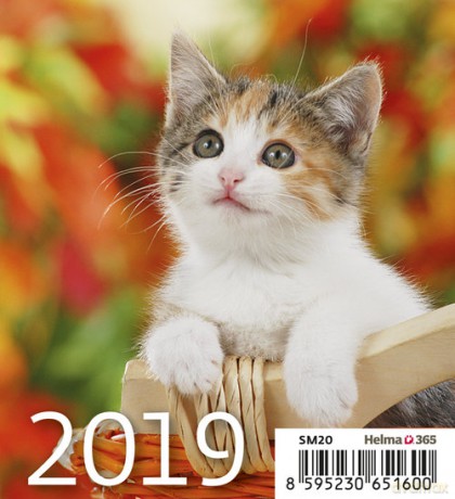 Kalendarz biurkowy Mini Kotki 2019 10 sztuk [KALENDARZ]