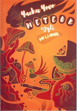 Meteor czyli My - Yovo Yachu [KSIĄŻKA]