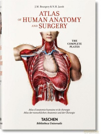 Atlas of Human Anatomy and Surgery [KSIĄŻKA]