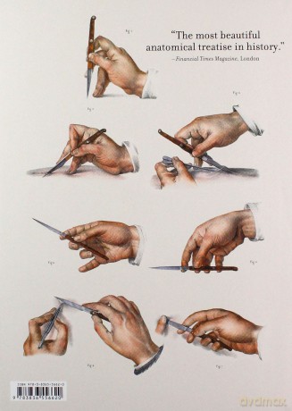 Atlas of Human Anatomy and Surgery [KSIĄŻKA]