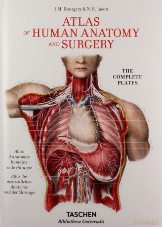 Atlas of Human Anatomy and Surgery [KSIĄŻKA]