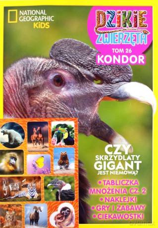 Dzikie Zwierzęta. 26 Kondor [KSIĄŻKA]