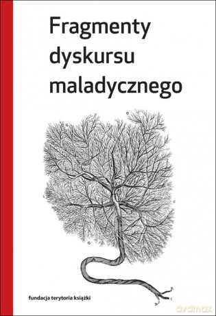 Fragmenty dyskursu maladycznego [KSIĄŻKA]