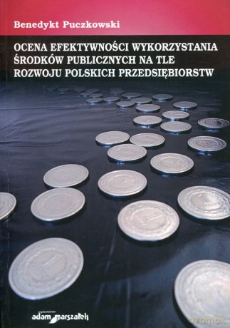 Ocena efektywności wykorzystania środków publicznych na tle rozwoju polskich przedsiębiorstw - Benedykt Puczkowski [KSIĄŻKA]