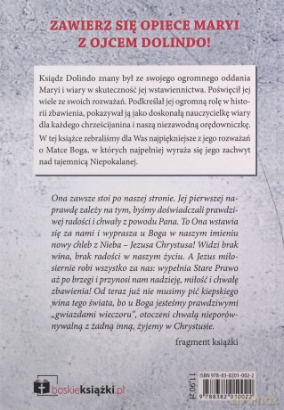 Pełna łaski [KSIĄŻKA]