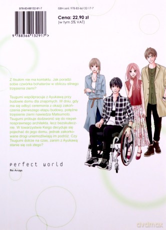 Perfect World (Tom 7) - Rie Aruga [KOMIKS]