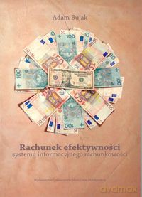 Rachunek efektywności systemu informacyjnego rachunkowości - Adam Bujak [KSIĄŻKA]