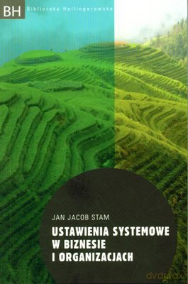 Ustawienia systemowe w biznesie i organizacjach - Jan Jacob Stam [KSIĄŻKA]