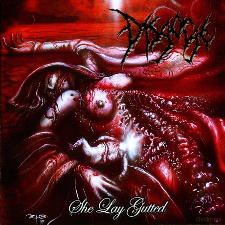 Disgorge: She Lay Gutted [CD]
