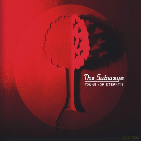 The Subways: Young For Eternity [Winyl]