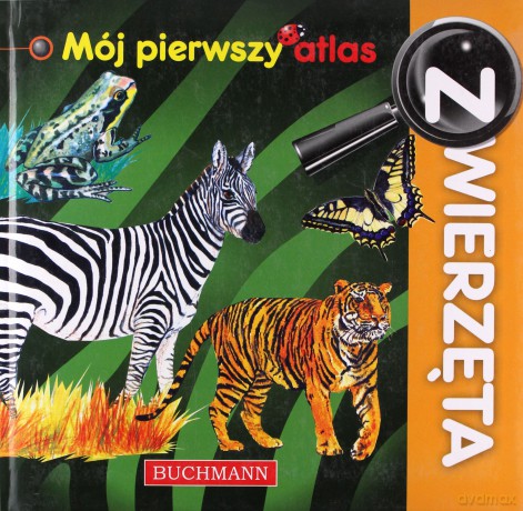 Zwierzęta. Mój pierwszy atlas - Grażyna Dziarmaga, Agnieszka Zielińska [KSIĄŻKA]