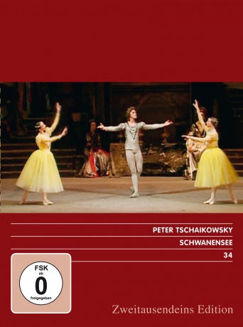 Bolshoi Ballett: Schwanensee [DVD]