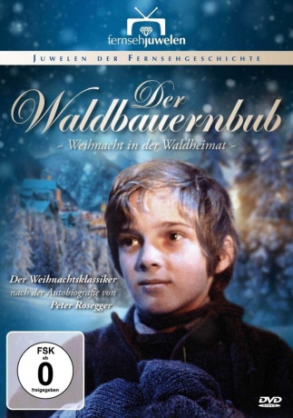 Der Waldbauernbub - Weihnacht in der Waldheimat [DVD]