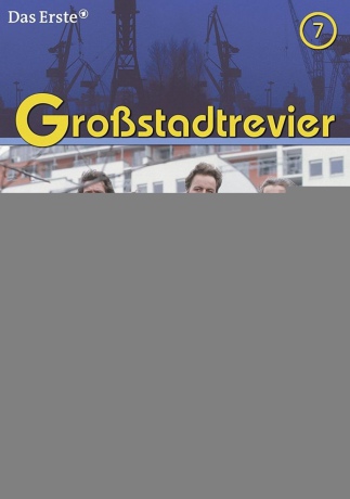 Grossstadtrevier Box 7 (Season 12) [4DVD]
