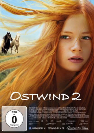 Windstorm 2 (Wicher 2) [DVD]