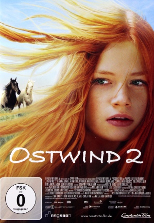 Windstorm 2 (Wicher 2) [DVD]