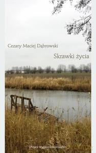 Skrawki życia - Maciej Dąbrowski Cezary [KSIĄŻKA]