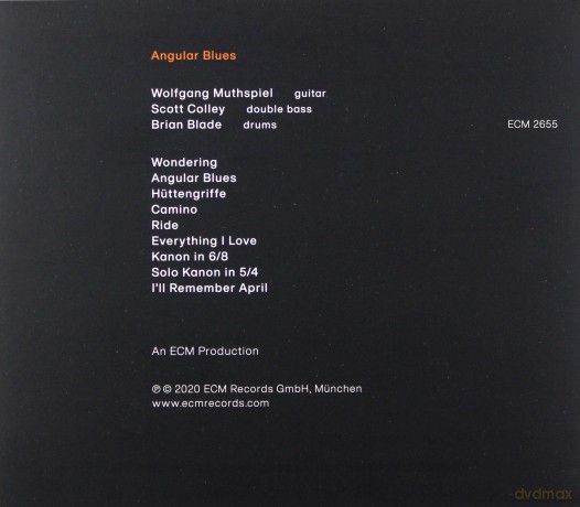 Muthspiel Wolfgang: Angular Blues [CD]