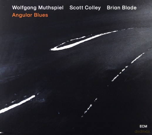 Muthspiel Wolfgang: Angular Blues [CD]