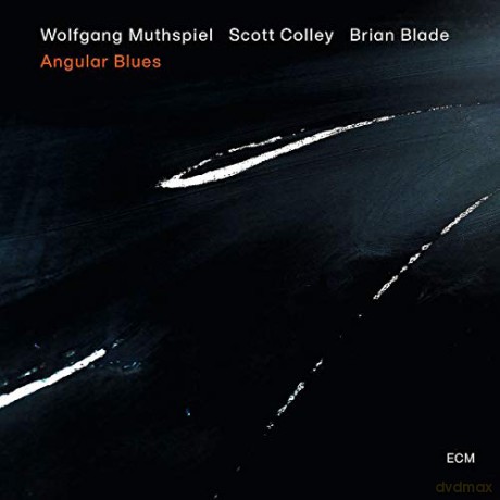 Muthspiel Wolfgang: Angular Blues [Winyl]