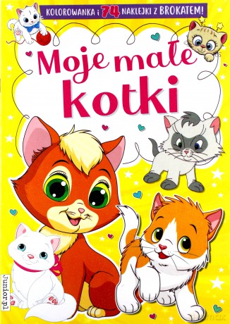 Moje małe kotki kolorowanka [KSIĄŻKA]